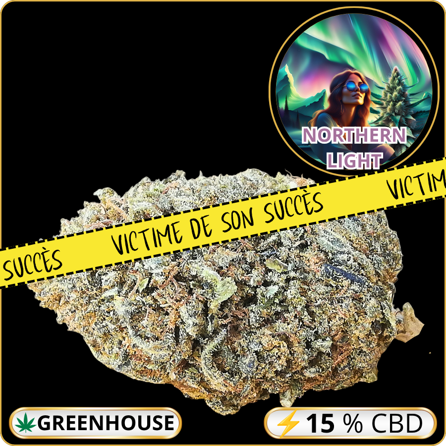 northern light cbd