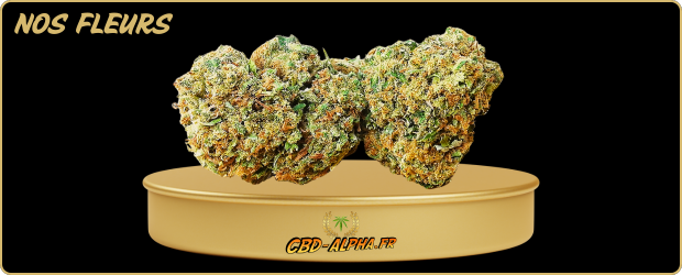 magasin cbd lyon - fleur cbd