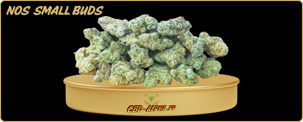 magasin cbd lyon - small buds cbd