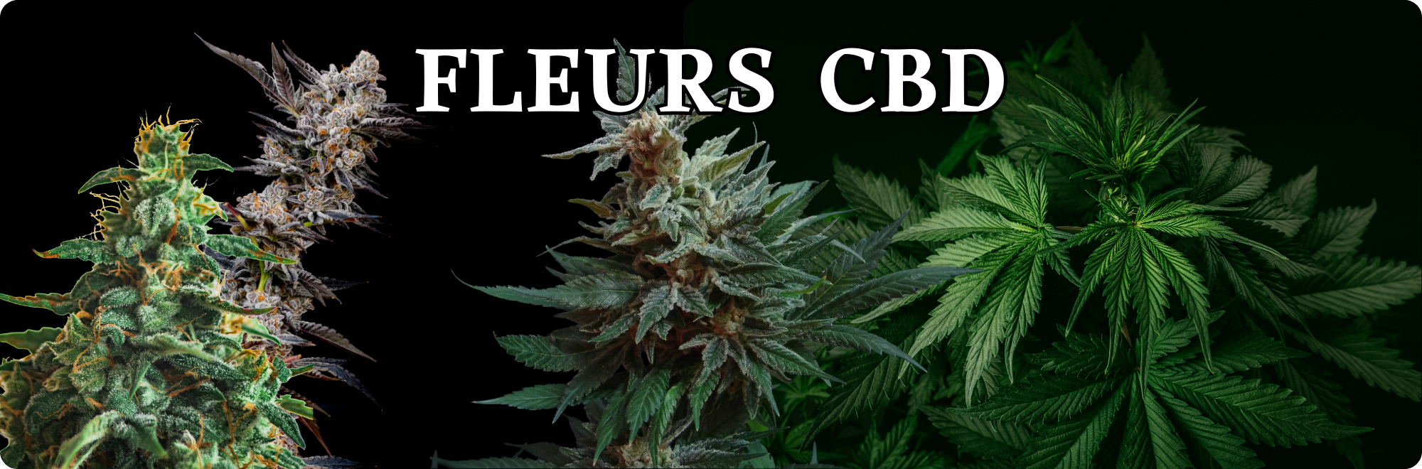 fleur cbd achat