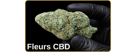 fleur cbd pas cher