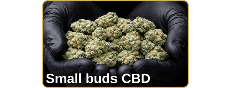 small buds cbd pas cher