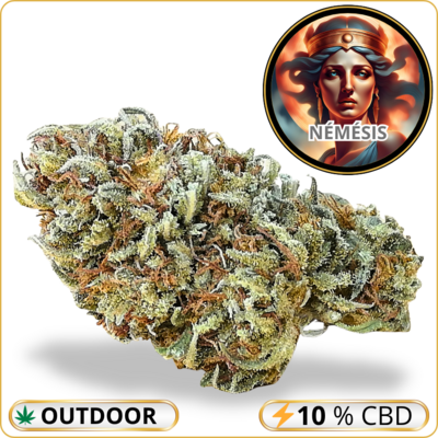 némésis cbd pas cher