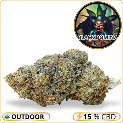 black domina fleur cbd puissante pas cher