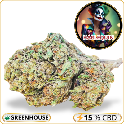 harlequin cbd