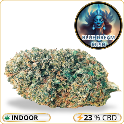 Blue Dream Kush CBD - Fleur CBD