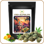 box premium fleur cbd - fleur cbd pas cher - acapulco gold cbd - cbd pas cher