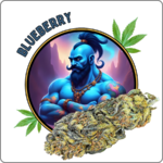 blueberry CBD prix effet avis