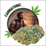 cannatonic CBD prix effet avis