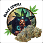black domina CBD prix effet avis