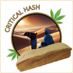 critical hash resine cbd pas cher