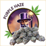 small buds cbd purple haze