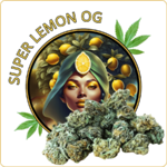small buds cbd lemon og
