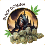 small buds cbd black domina