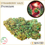 strawberry haze fleur cbd pas cher
