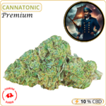 cannatonic fleur cbd pas cher