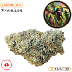 jamaican fleur cbd pas cher