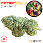 strawberry banana fleur cbd pas cher