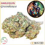 harlequin fleur cbd pas cher