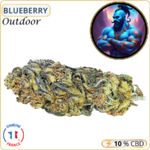 blueberry fleur cbd pas cher