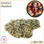 némésis fleur cbd pas cher