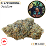 black domina fleur cbd pas cher