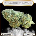 échantillon cbd gratuit - cbd gratuit
