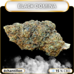 échantillon cbd gratuit - cbd gratuit