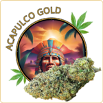 acapulco gold fleur cbd pas cher
