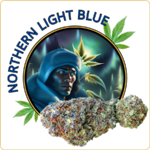 northern light blue fleur cbd pas cher