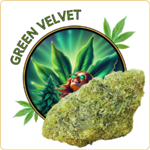 fleur cbd pas cher green velvet