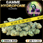 small buds cbd pas cher blue dream
