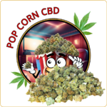 mini bud pas cher