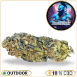 blueberry fleur cbd pas cher