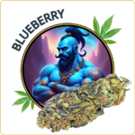 blueberry cbd pas cher