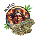 némésis fleur cbd pas cher