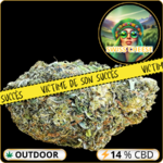 swiss cheese cbd pas cher