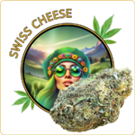 swiss cheese fleur cbd pas cher