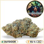 black domina fleur cbd puissante pas cher
