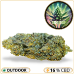 big bud fleur cbd puissante pas cher