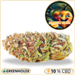 mango kush cbd