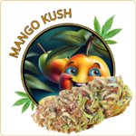 mango kush cbd pas cher