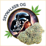skywalker og cbd pas cher