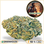 cannatonic cbd