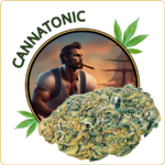 cannatonic cbd pas cher