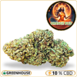 orange bud cbd