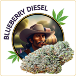 blueberry diesel cbd pas cher