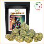 harlequin cbd effet avis prix