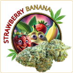 strawberry banana cbd pas cher