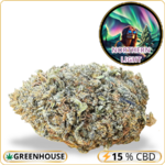 northern light cbd